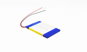 China Manufacturer for China Lithium Battery Manufacture -
 3259110 -11.1v-3000mah – Hrlenergy