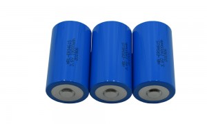 D size ER3461519000mAh